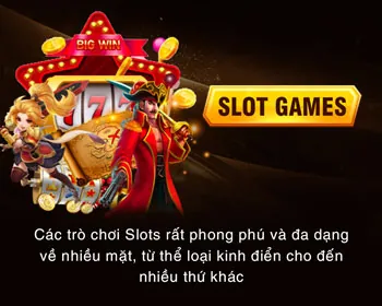 Giải Đấu & Sự Kiện Theo Mùa Gau 88