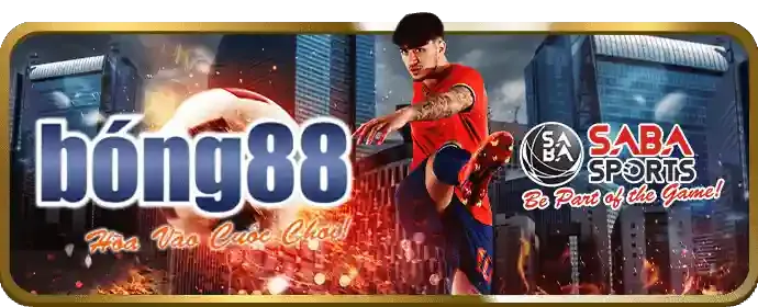 Hỗ trợ khách hàng 24/7 Gau 88